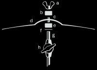 cymbalstand.gif